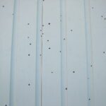 Artillery fungus spores on siding