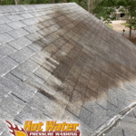 Cleaning algae off a shingle roof with low-pressure cleaning in Tallahassee, Florida.