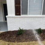 Soft washing siding around shotgun fungus in mulch