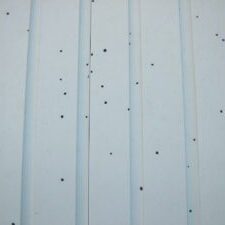 A close-up image of artillery fungus, small black dots on a home's siding, causing damage.